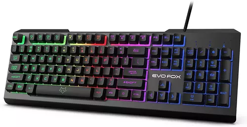 best gaming keyboard under 2000 with LED lighting - evofox warhammer