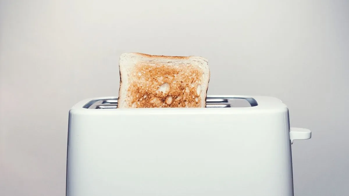 5 Best Toasters in India 2024 (My Top Picks)